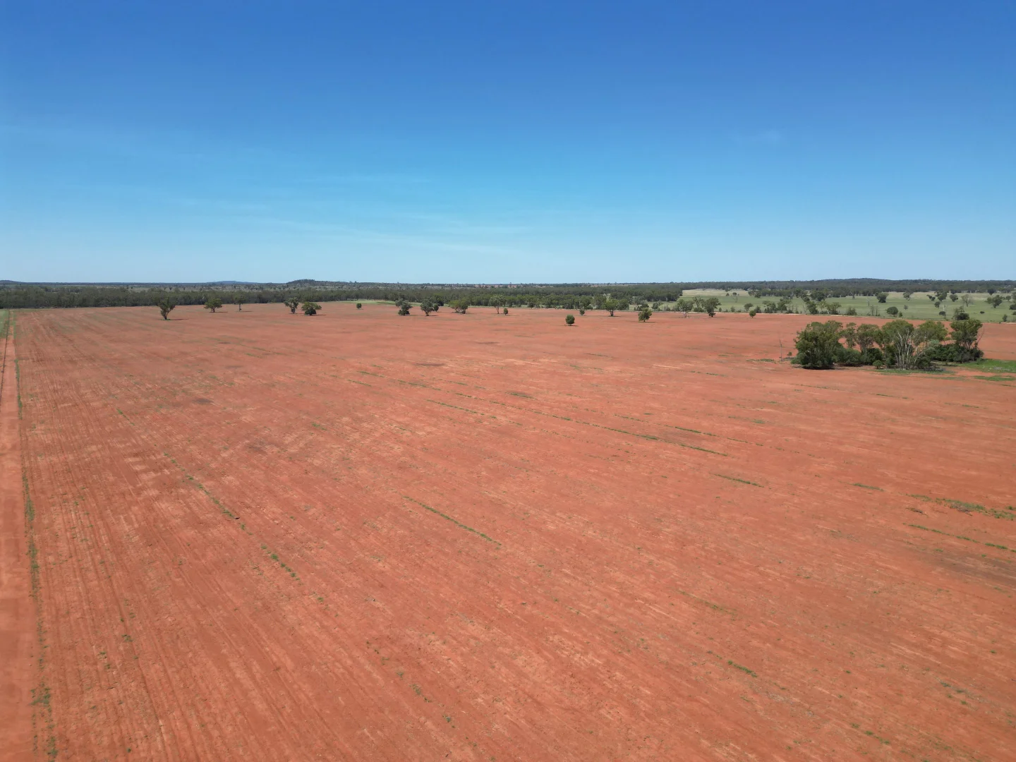 Additional image 8 of "Glendale"/4666 Mitchell Highway, Girilambone NSW 2831