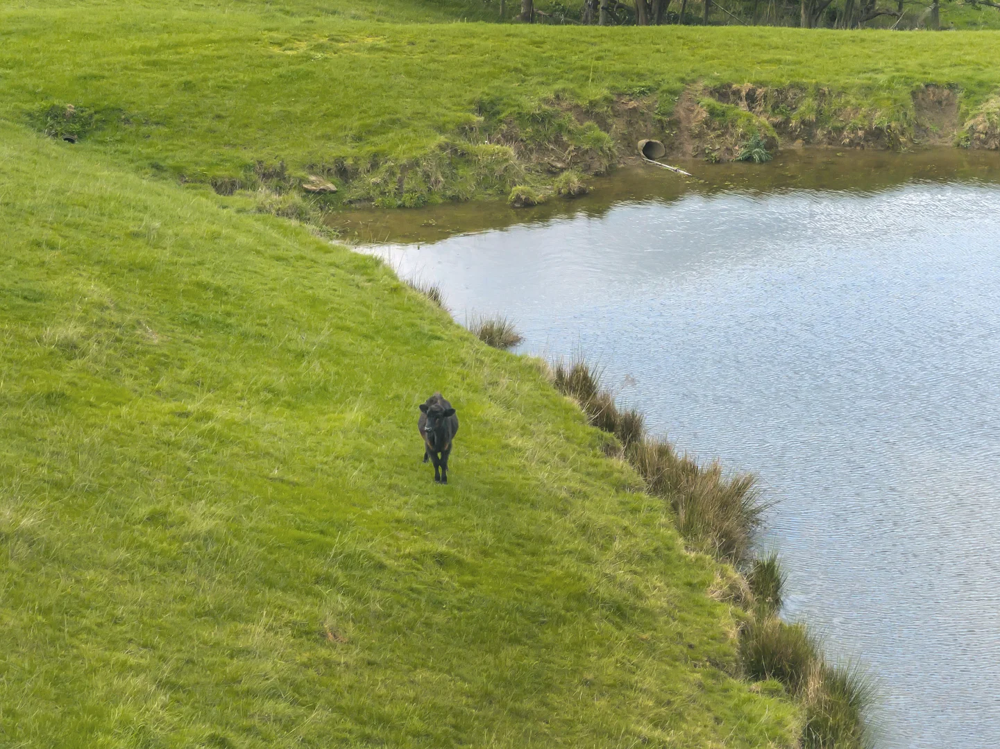 Additional image 20 of 210 Tozer Road, Almurta VIC 3979