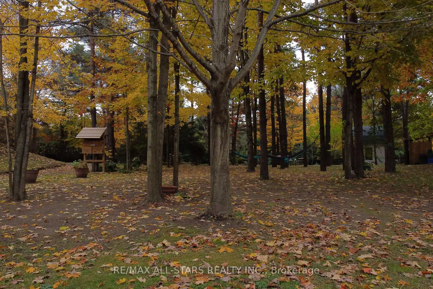 Additional image 9 of 26 Cranborne Chase