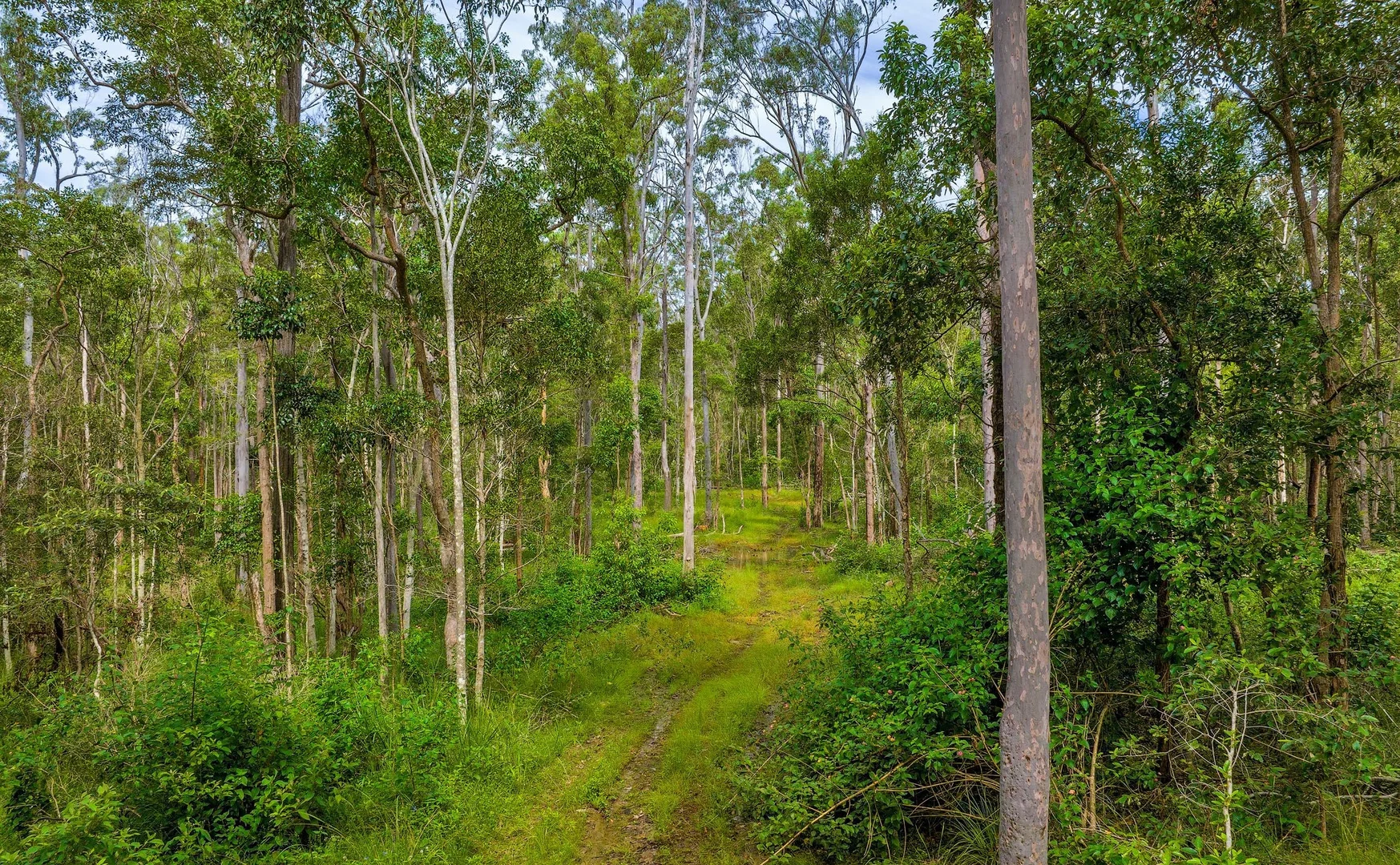 Additional image 3 of Lot L984 Arborfourteen Road, Glenwood QLD 4570