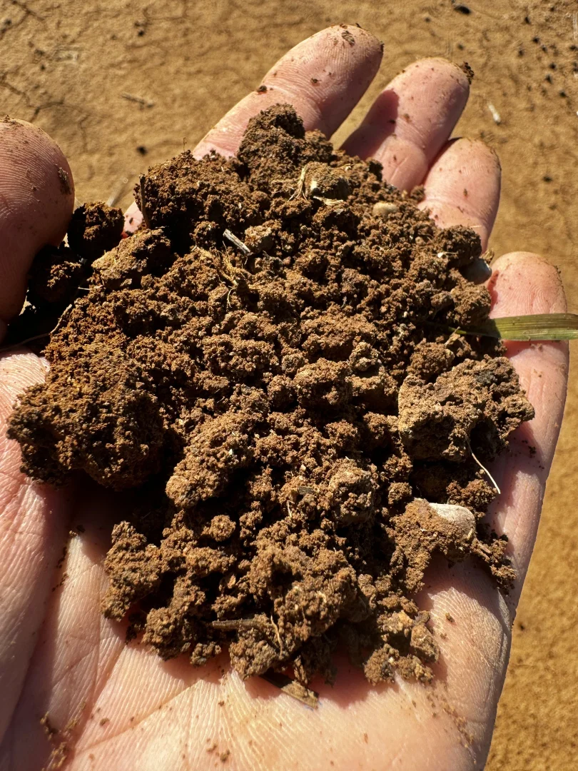 Additional image 26 of Smeatonvale Laterals Boree-Morago Rd, Deniliquin NSW 2710