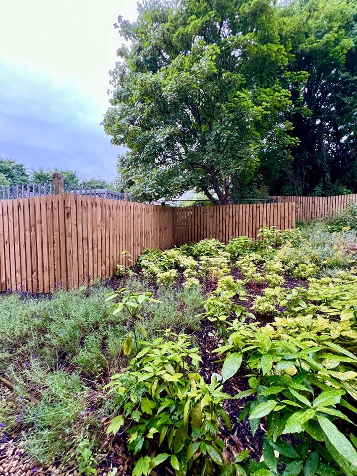 Additional image 8 of Room in a Shared Flat, Dorchester Avenue, G12, N1 7GU