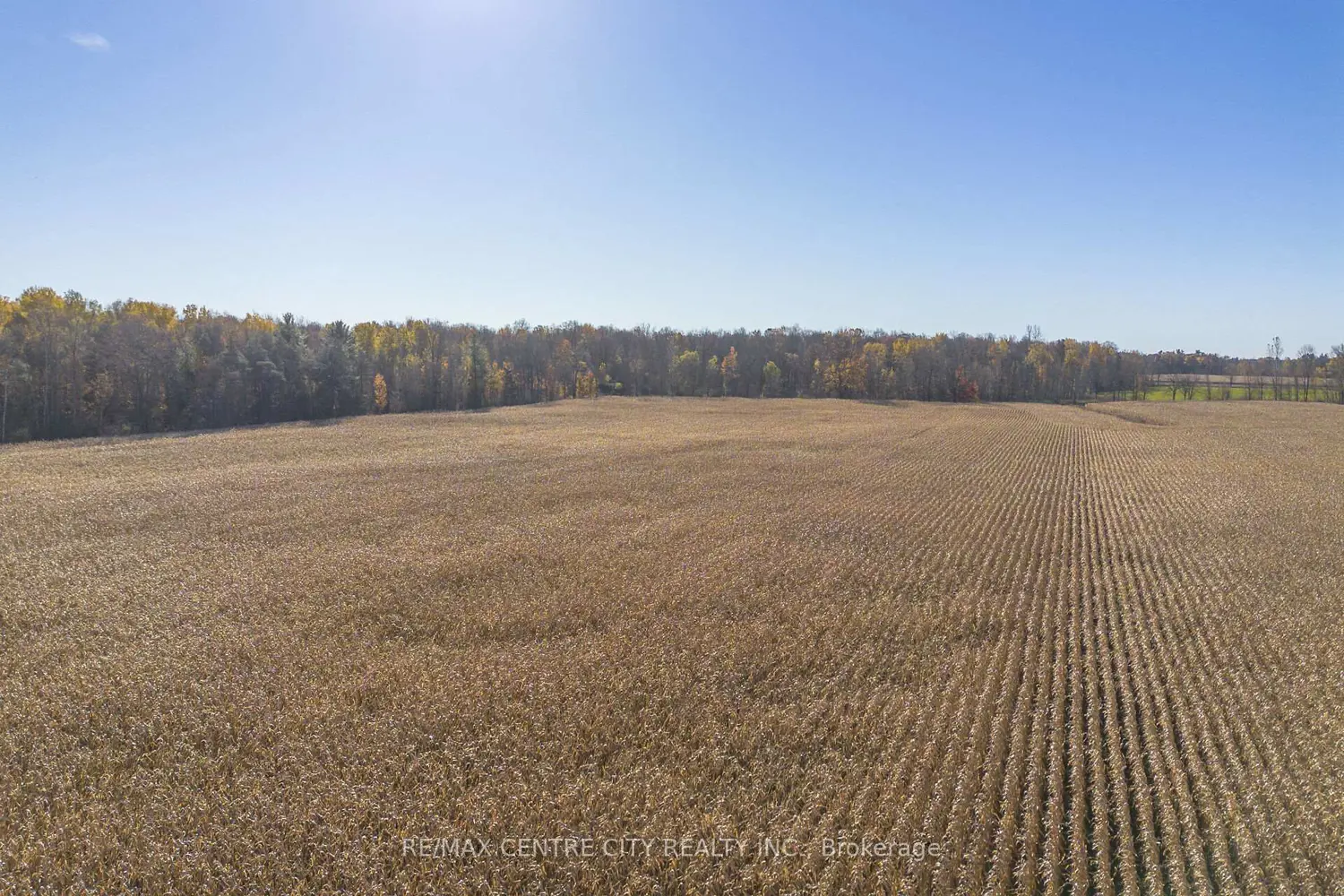 Additional image 9 of Pt Lt 140&141 Col Talbot Road