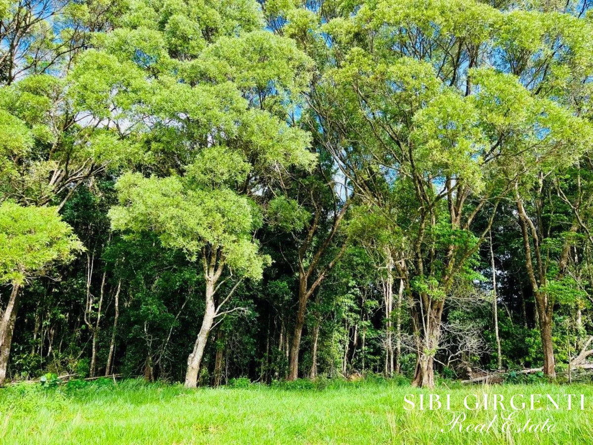 Additional image 15 of 1297 Mt Molloy Street, Mossman QLD 4873