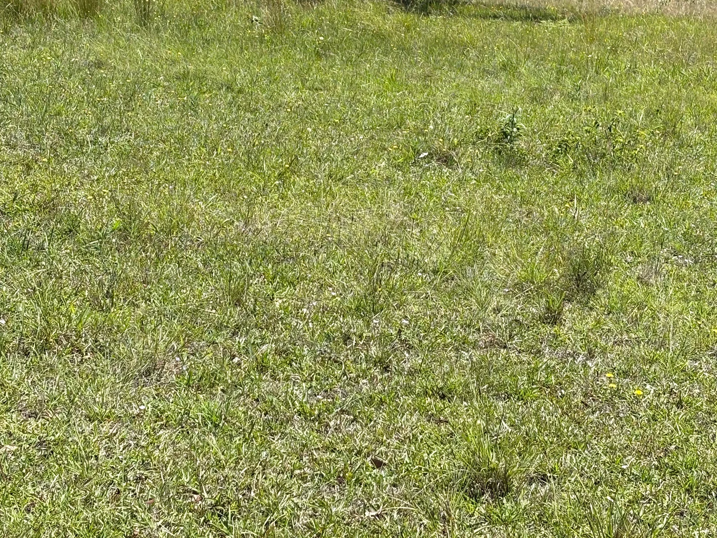 Additional image 29 of 66 Goulds Ln, Clybucca NSW 2440