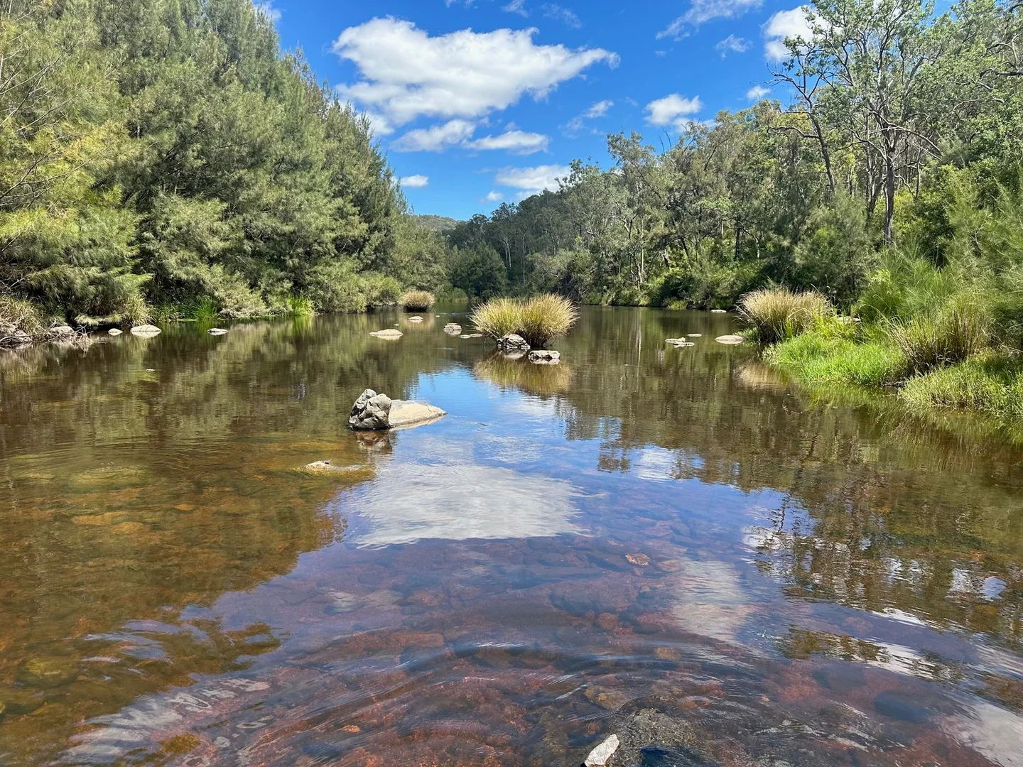 Additional image 2 of Lot 16 Bonner Road, Rivertree NSW 2372