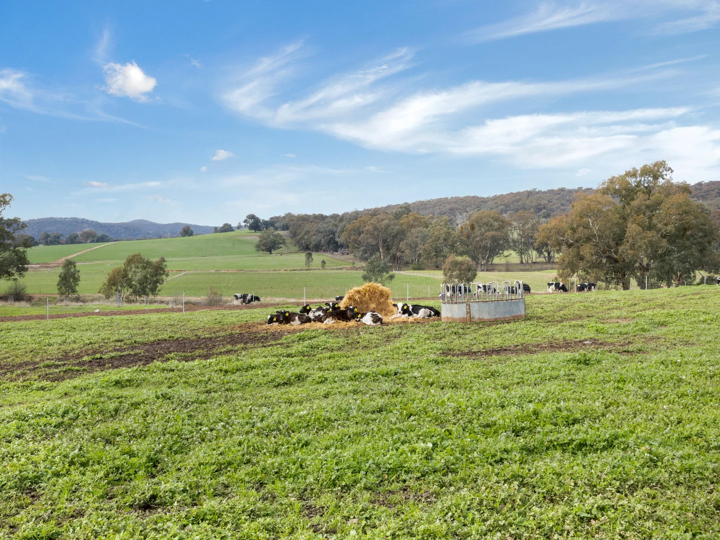 Additional image 22 of 301 Boggy Creek Road, Moyhu VIC 3732