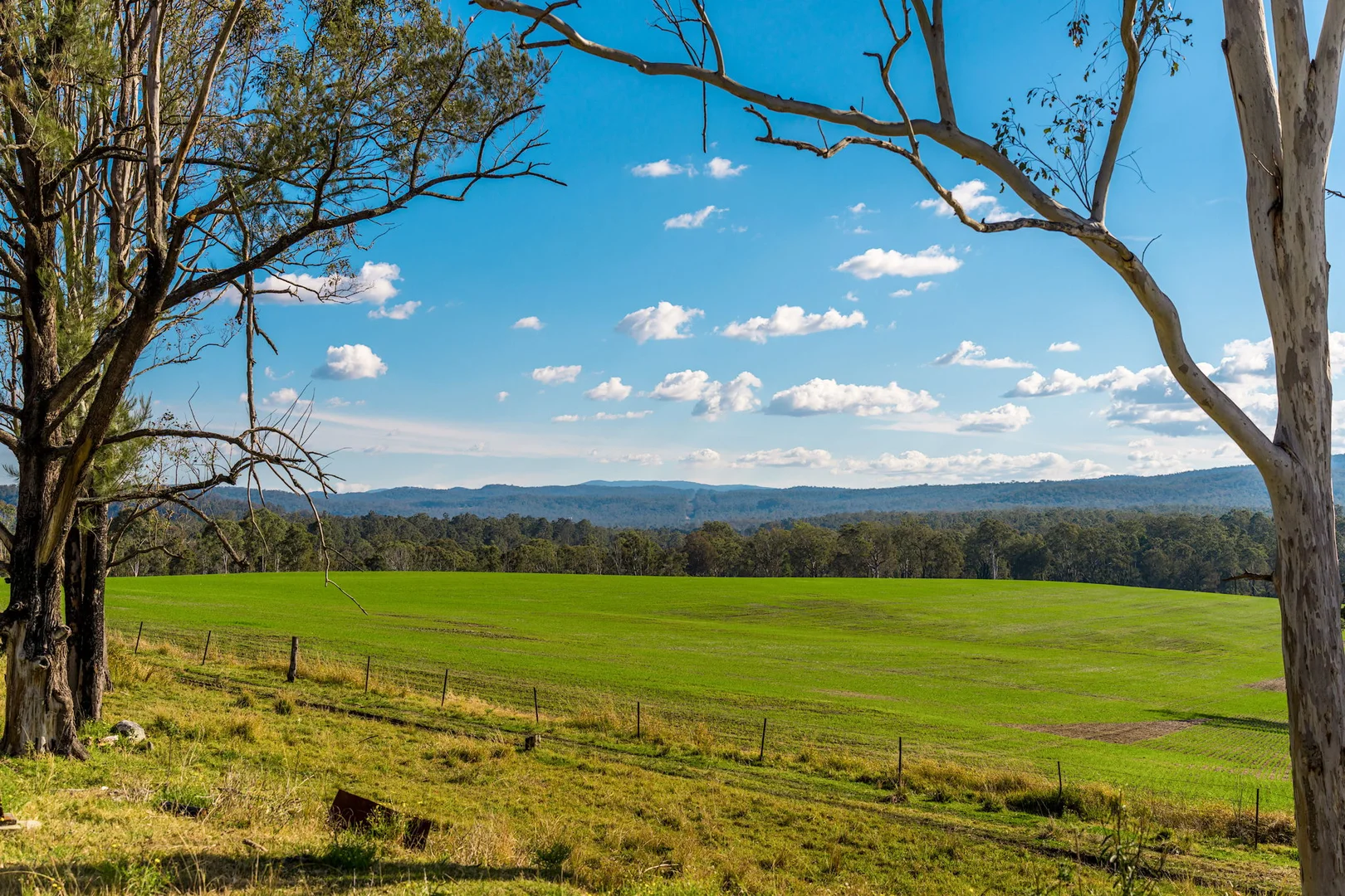 Additional image 17 of 119 Paddys Flat Road, Tabulam NSW 2469