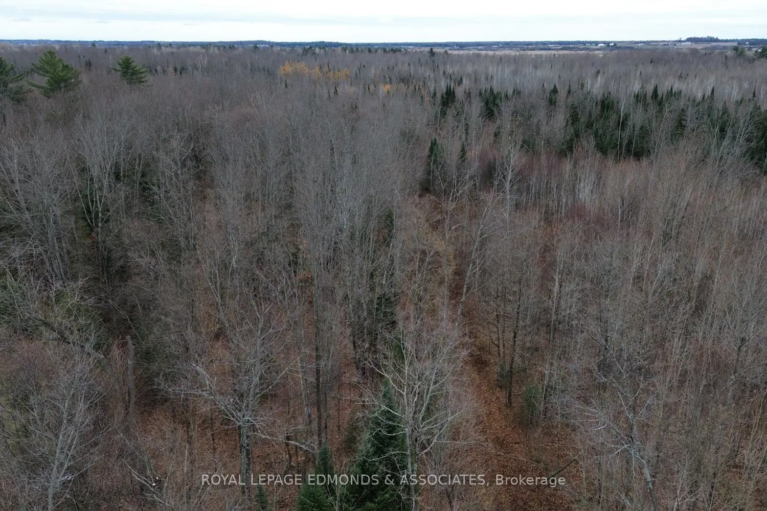 Additional image 6 of 710 Westmeath Road