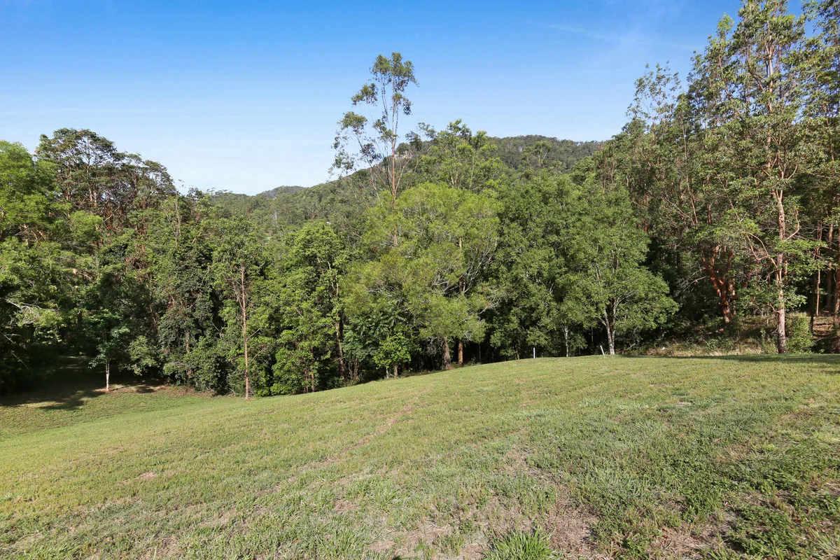 Additional image 14 of 22 Petsch Creek Road, Tallebudgera Valley QLD 4228