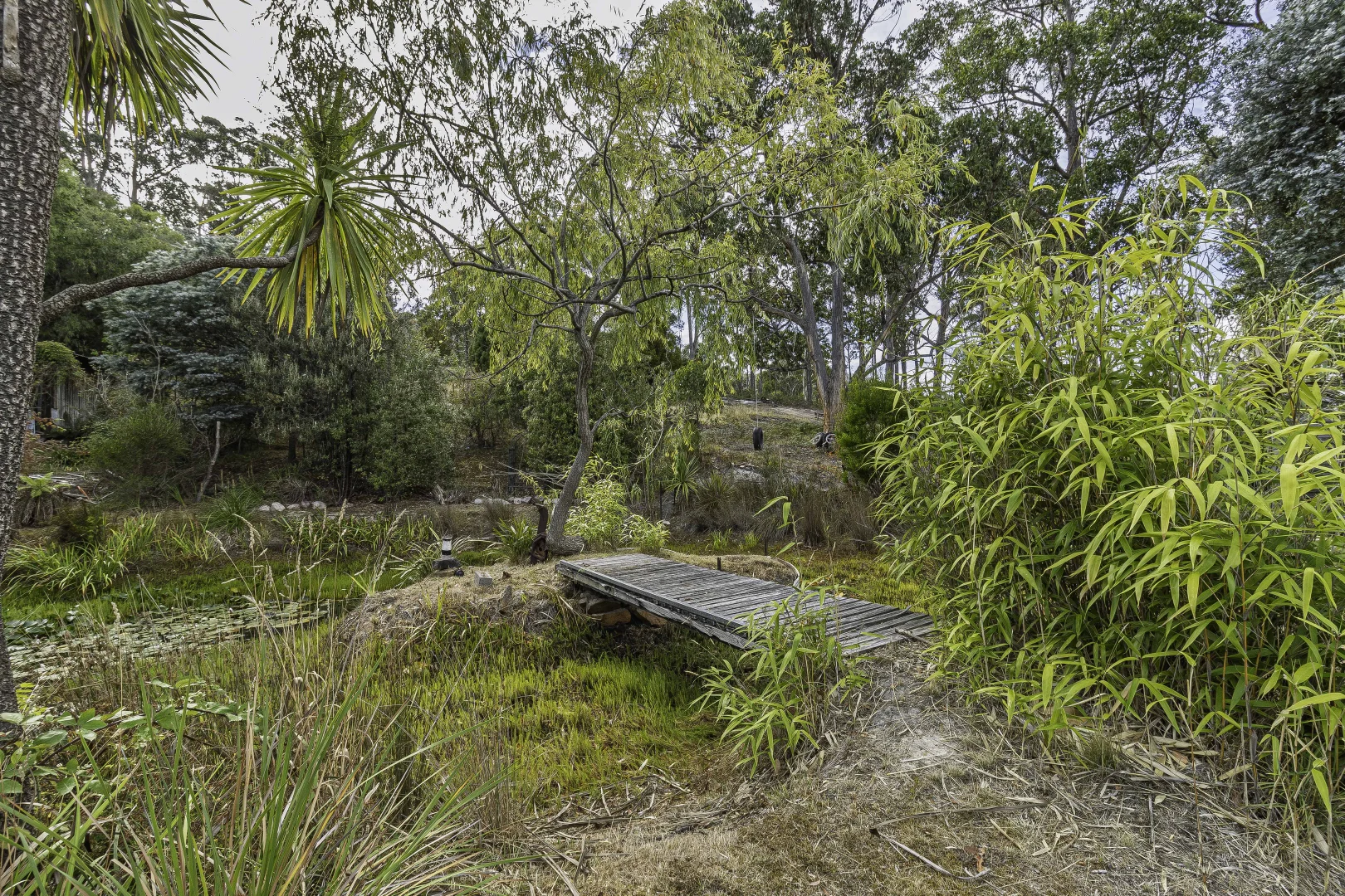 Additional image 63 of 242 Woolleys Road, Lonnavale TAS 7109