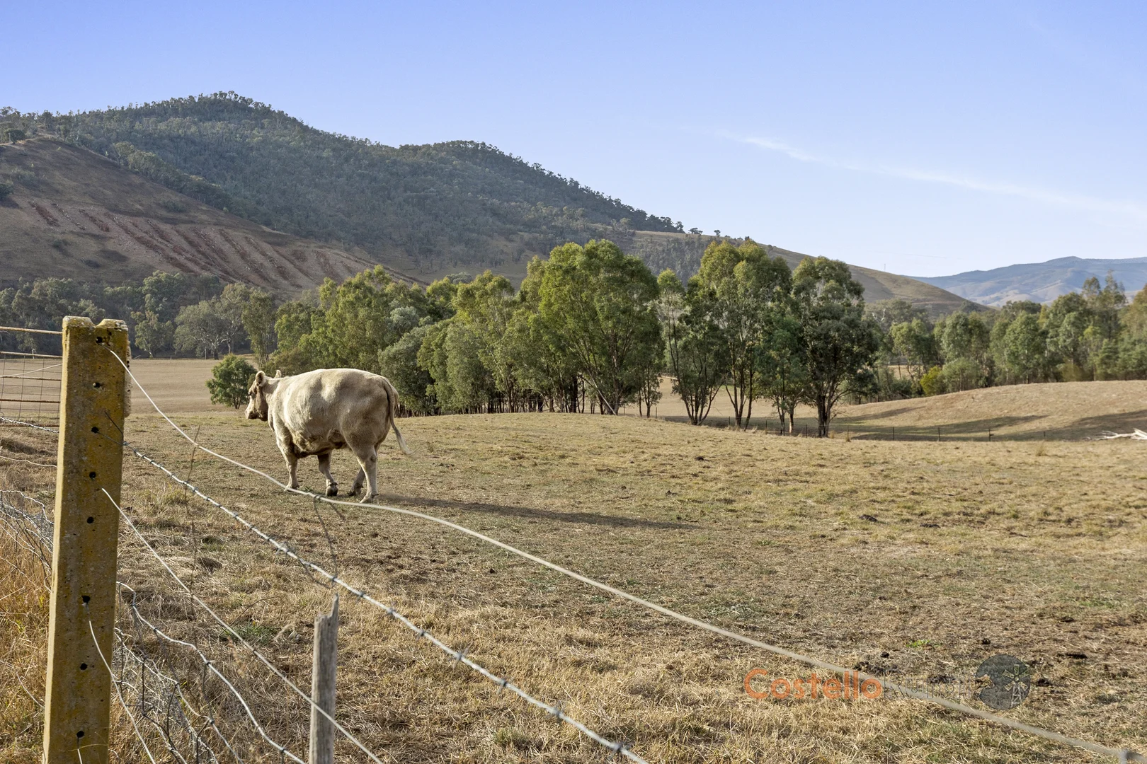Additional image 5 of 8243 Murray River Rd, Walwa VIC 3709