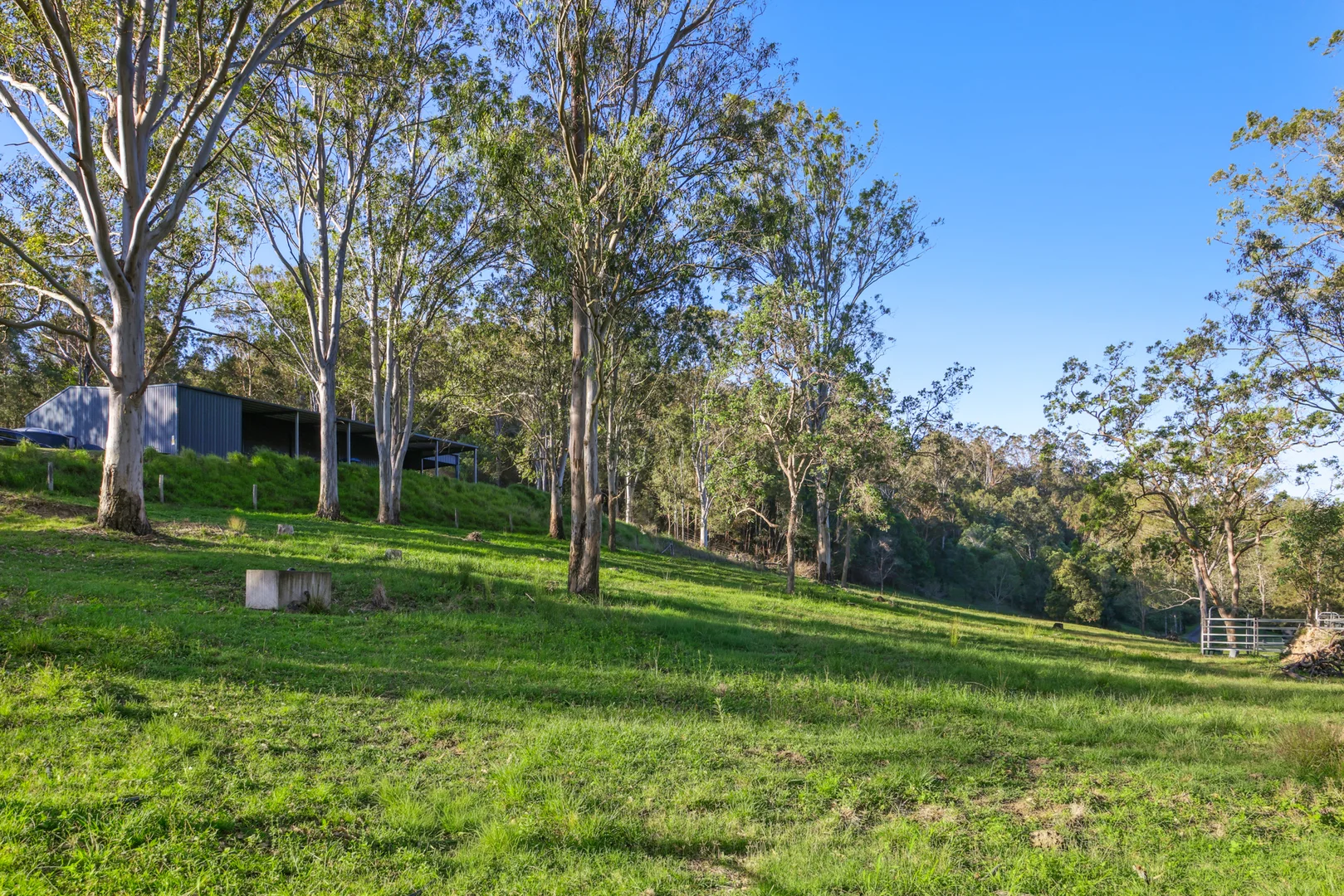 Additional image 9 of 66 Double Crossing Road, Canungra QLD 4275