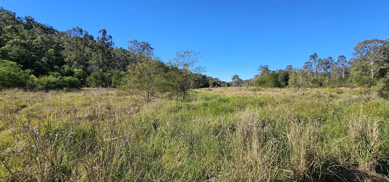 Additional image 16 of 2400 Busbys Flat Road, Busbys Flat NSW 2469