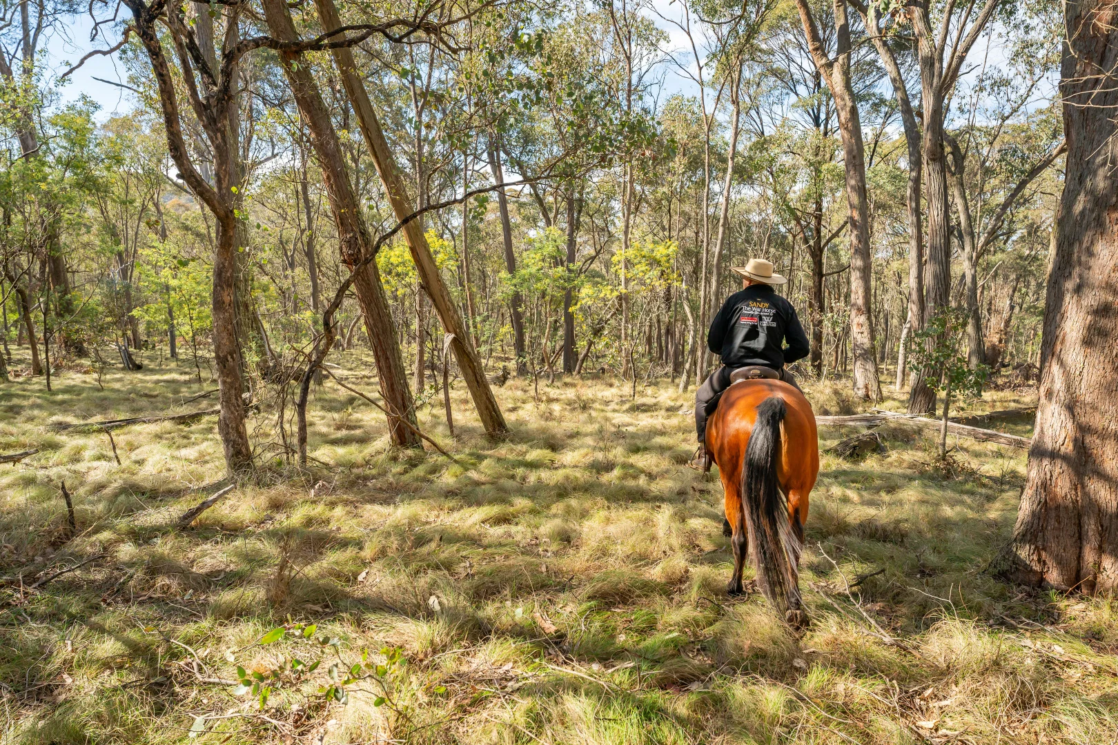 Additional image 16 of . Firebrace Track, Bullioh VIC 3700