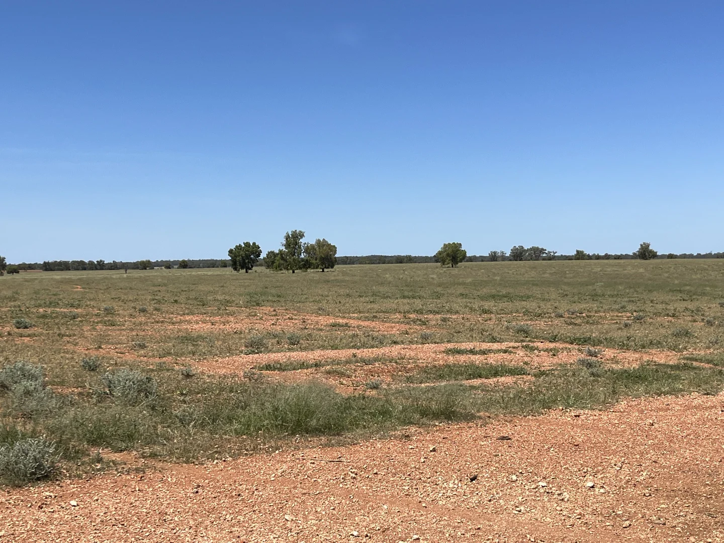 Additional image 21 of "Glendale"/4666 Mitchell Highway, Girilambone NSW 2831