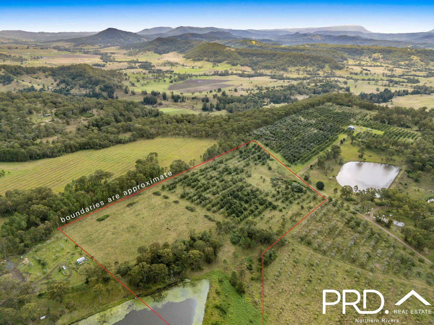 Additional image 10 of 45 Rudgely Road, Caniaba NSW 2480