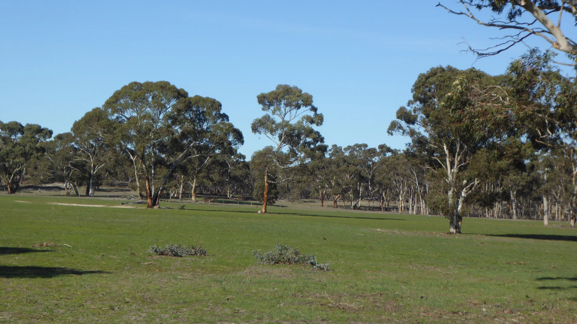 Additional image 9 of 2147 Bangham Road, Frances SA 5262