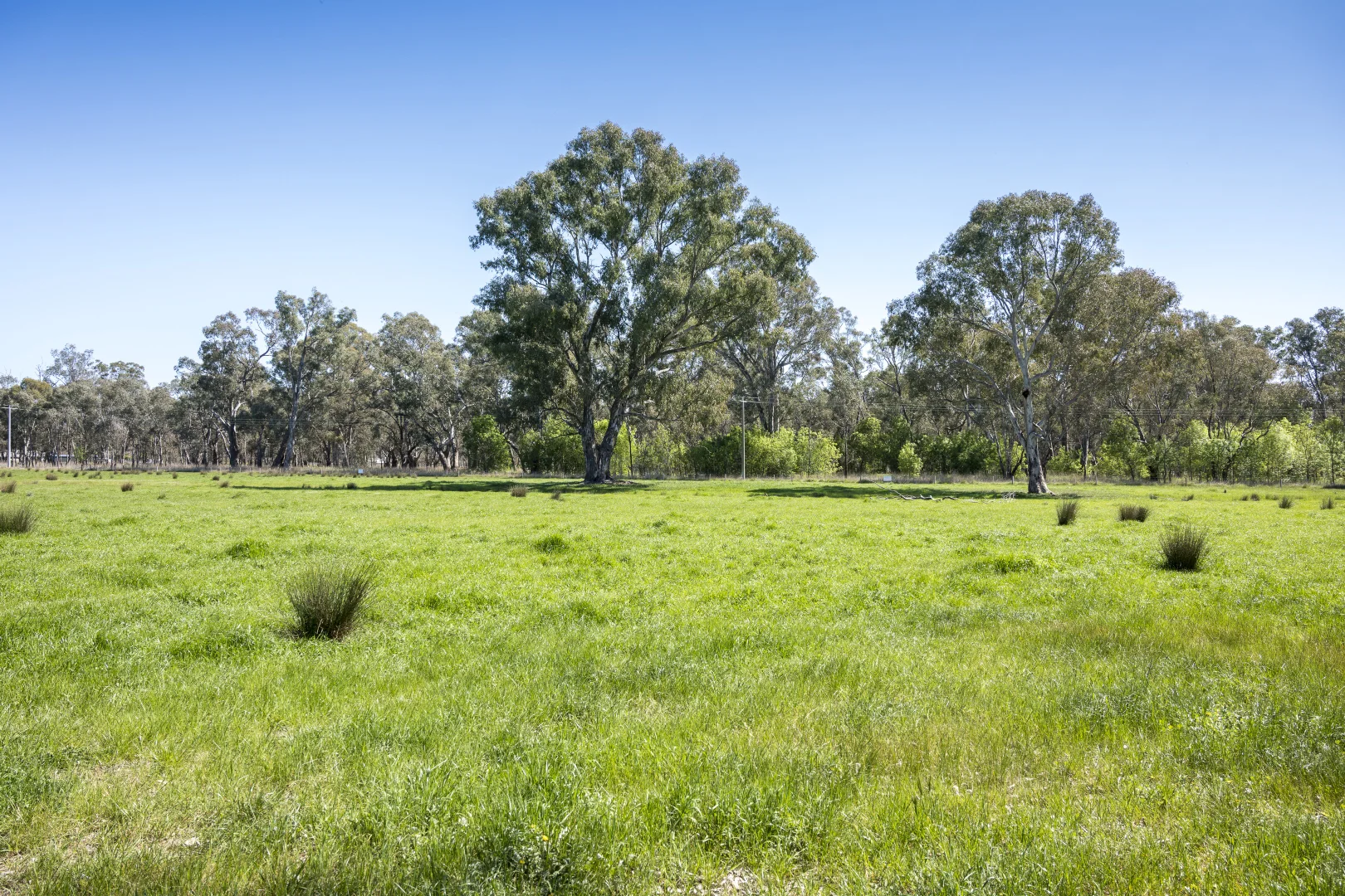 Additional image 15 of CA32 Baddaginnie-Benalla Road, Benalla VIC 3672