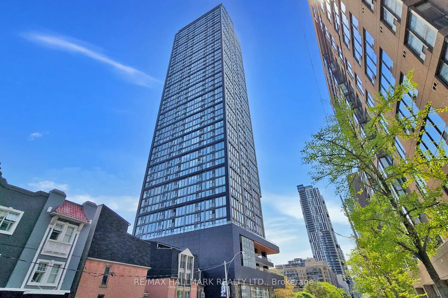 Additional image 2 of 319 Jarvis Street 3515