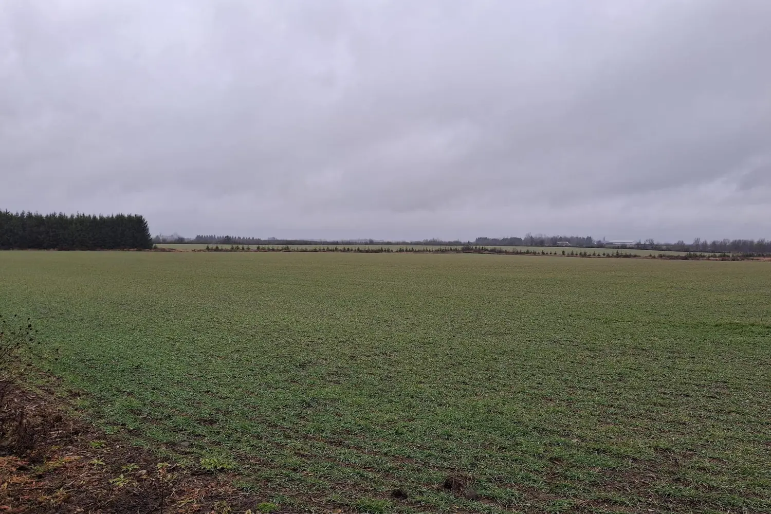 Additional image 9 of 285171 County Rd 10 Road