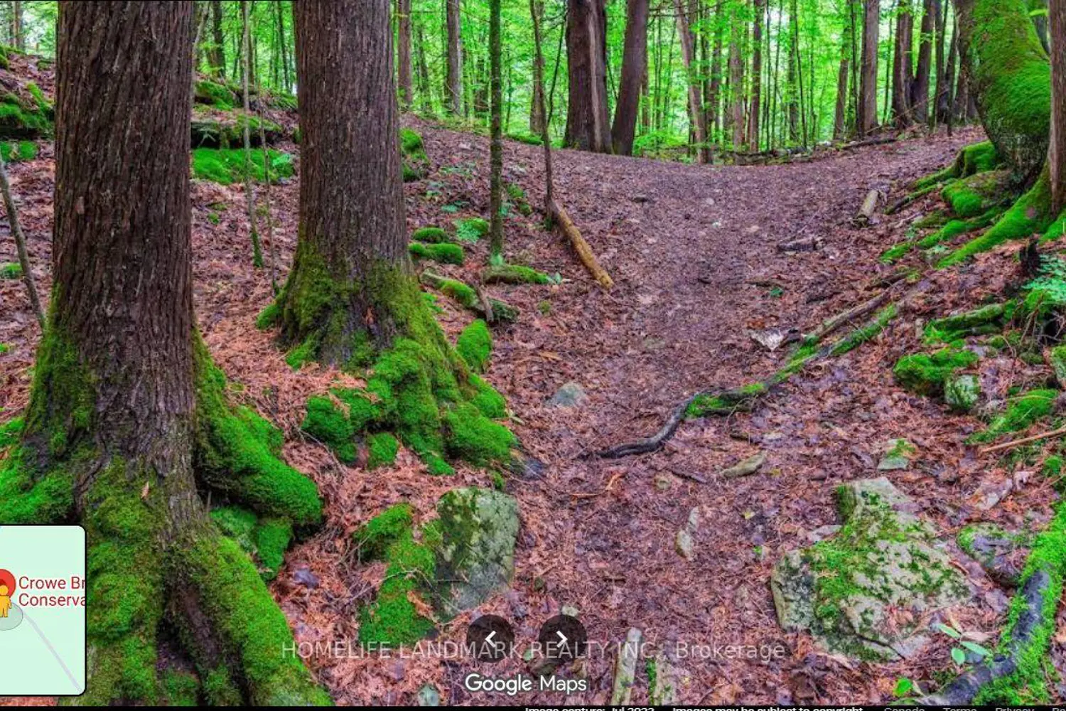 Additional image 4 of 2821 12Th Line