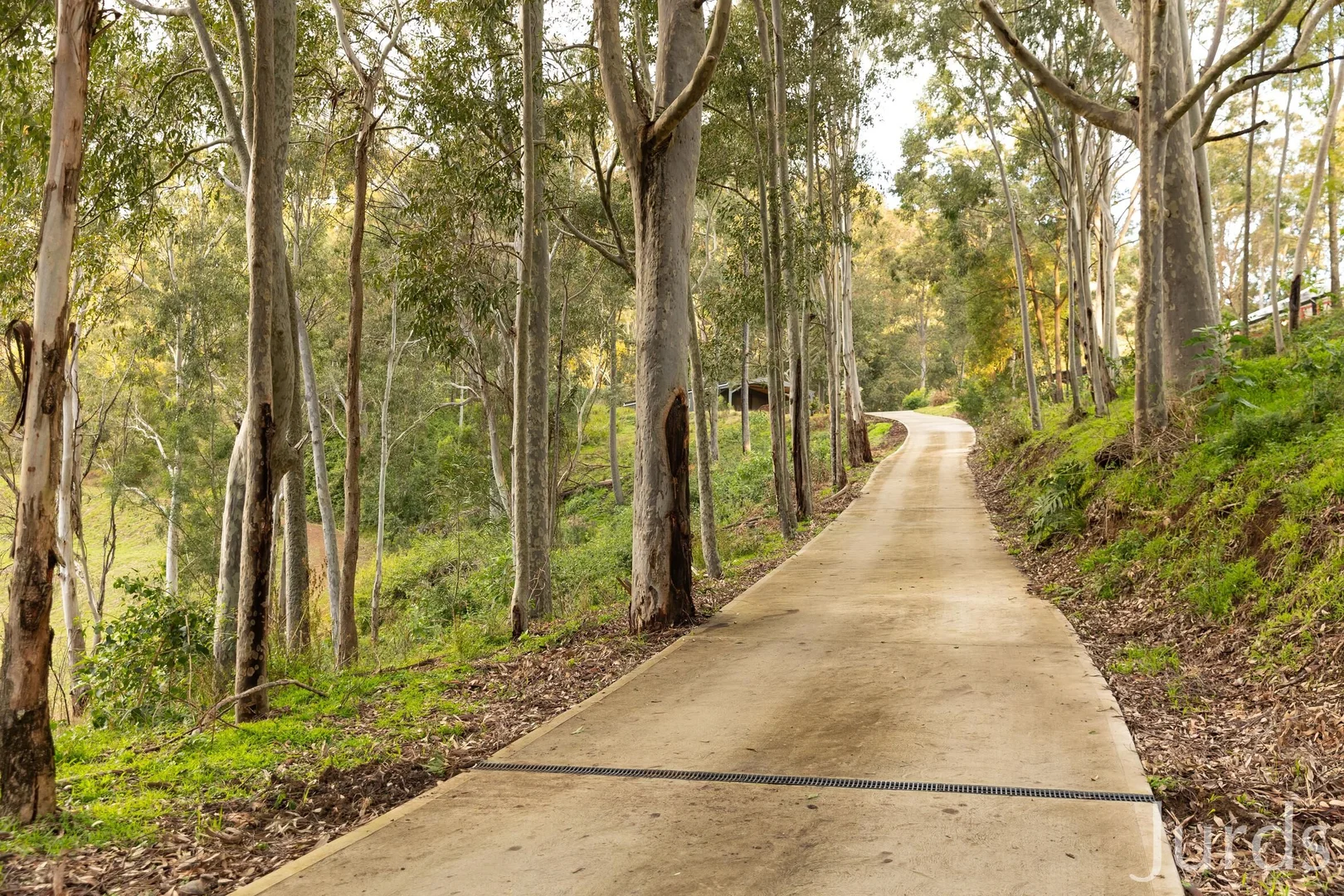 Additional image 40 of 131 Rodney Road, Mount Vincent NSW 2323