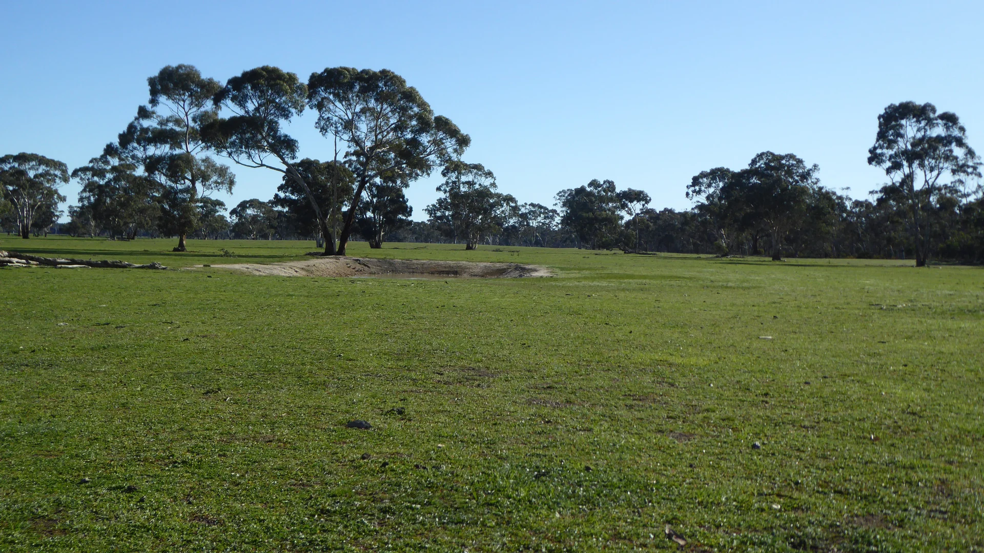 Additional image 7 of 2147 Bangham Road, Frances SA 5262