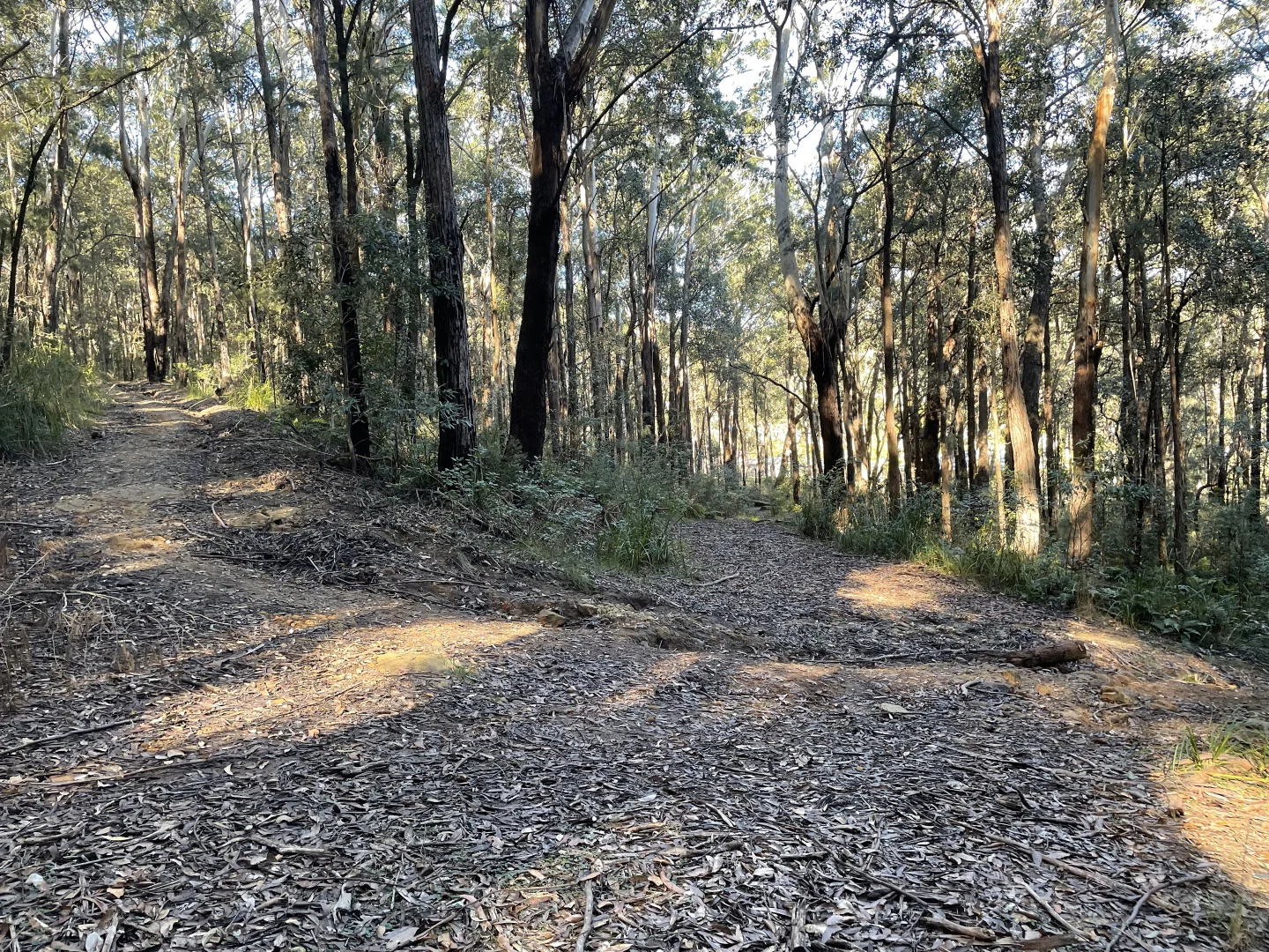 Additional image 15 of 20 James Norton Road, Bensville NSW 2251