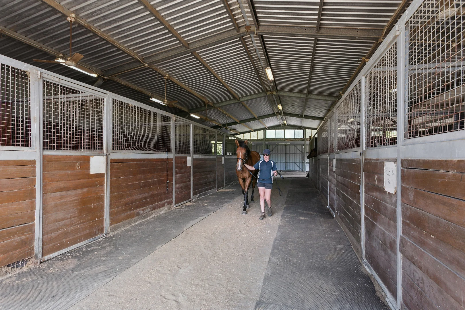 Additional image 10 of 1213 Dooralong Road, Dooralong NSW 2259