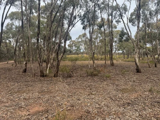 Additional image 24 of 6 Old Boort Road, Wedderburn VIC 3518