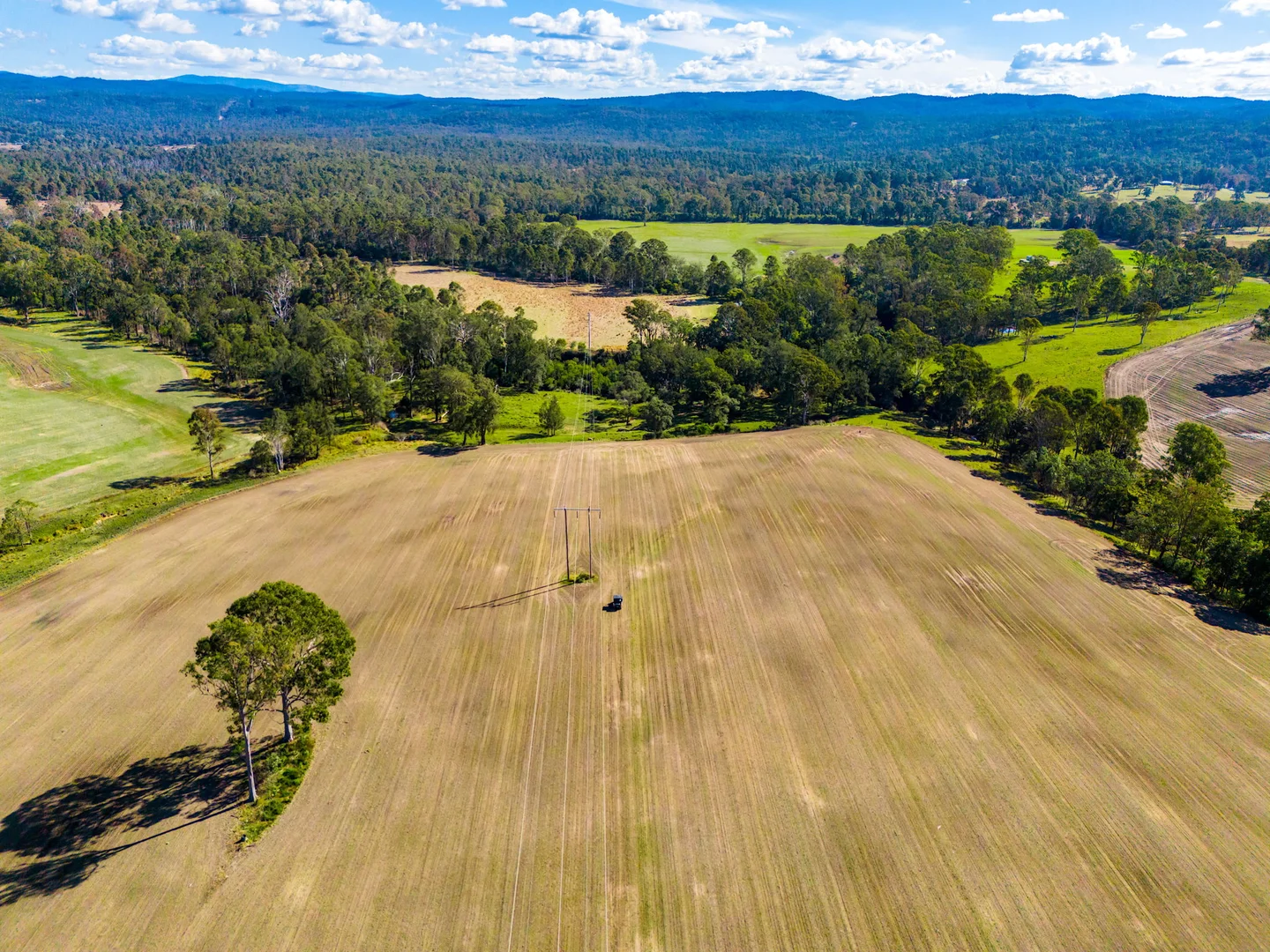 Additional image 33 of 119 Paddys Flat Road, Tabulam NSW 2469