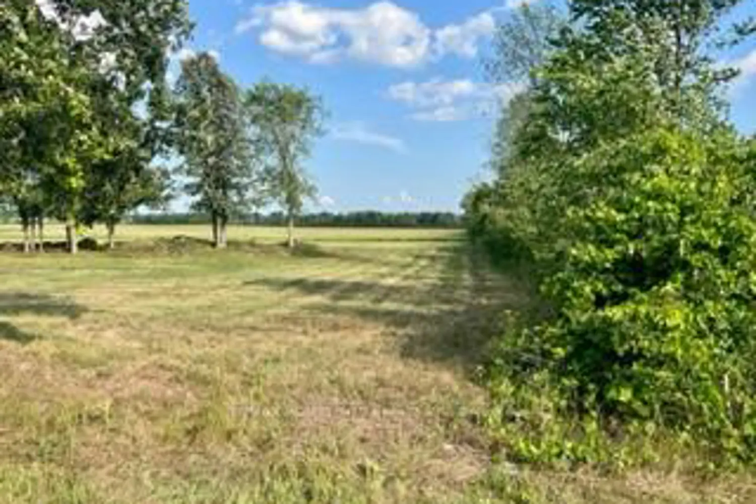 Additional image 10 of 0 Kitley Line 8 Road