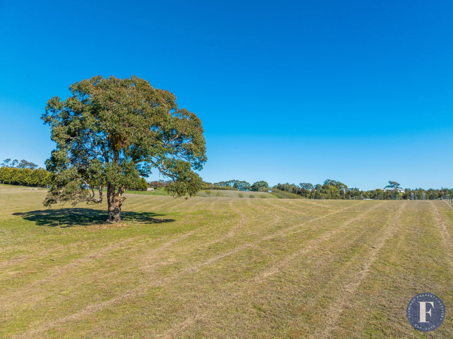 Additional image 4 of 100C Boundary Road, Young NSW 2594