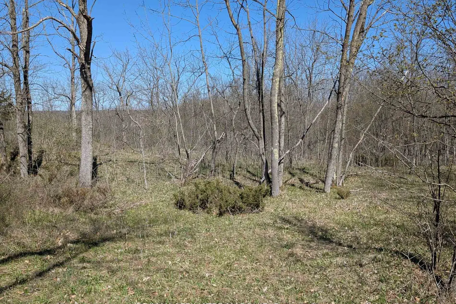 Additional image 5 of 0 Little Crosby Lake Road