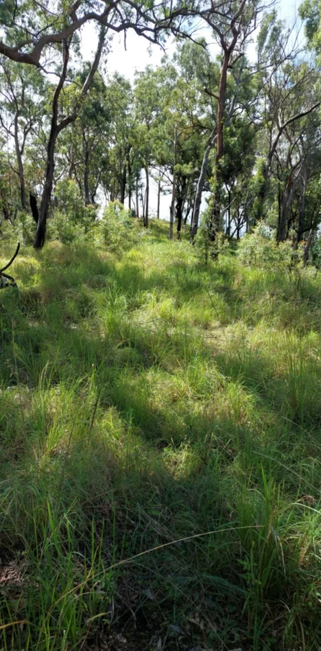 Additional image 5 of Lower Creek NSW 2440