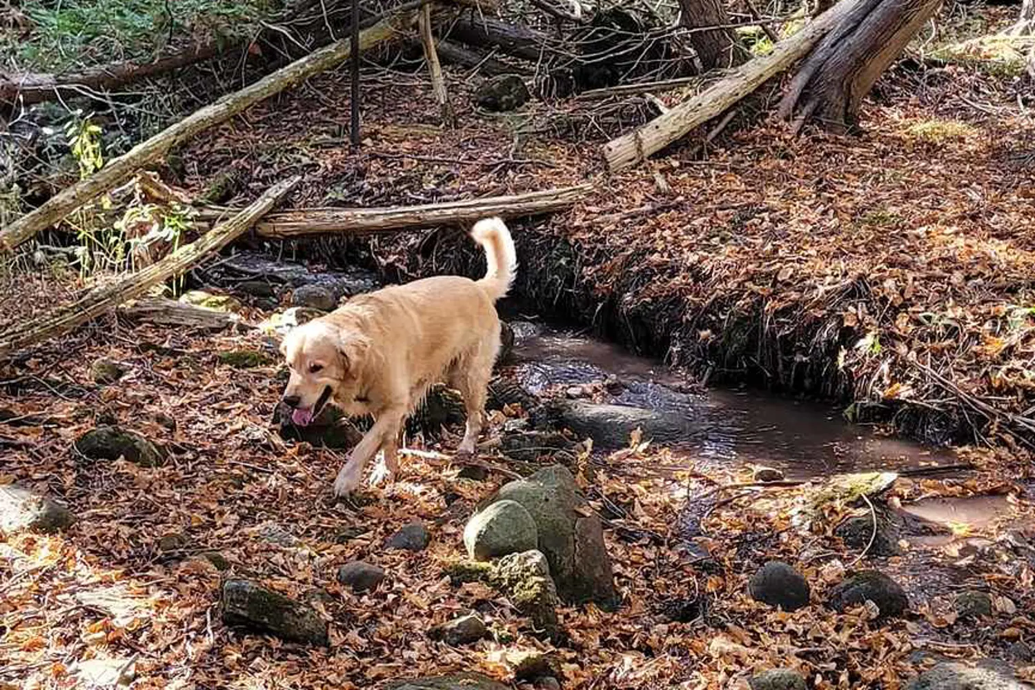 Additional image 7 of 323 Orange Corners Road