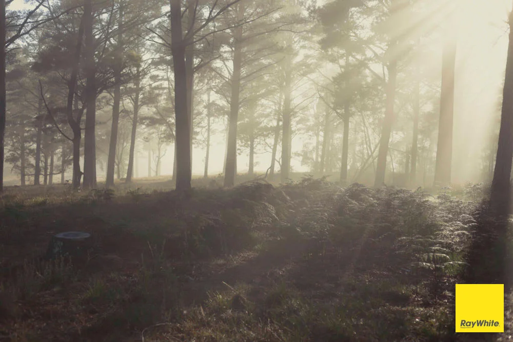 Additional image 18 of 270 Pine Bank Drive, Lower Boro NSW 2580