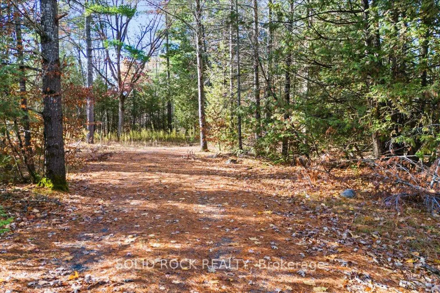 Additional image 12 of 136 Glen Ridge Road