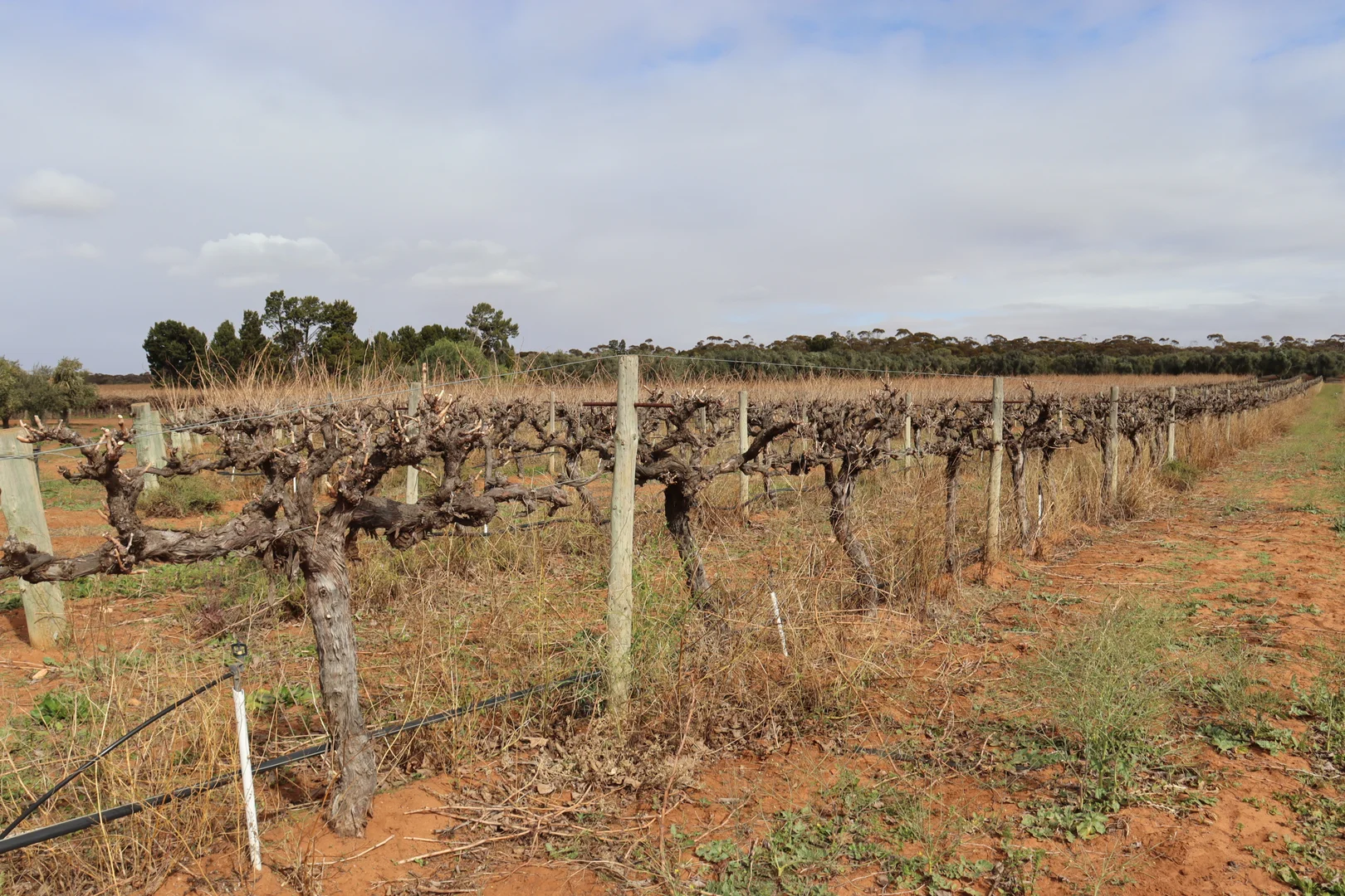 Additional image 22 of 334 Katarapko Crescent, Winkie SA 5343