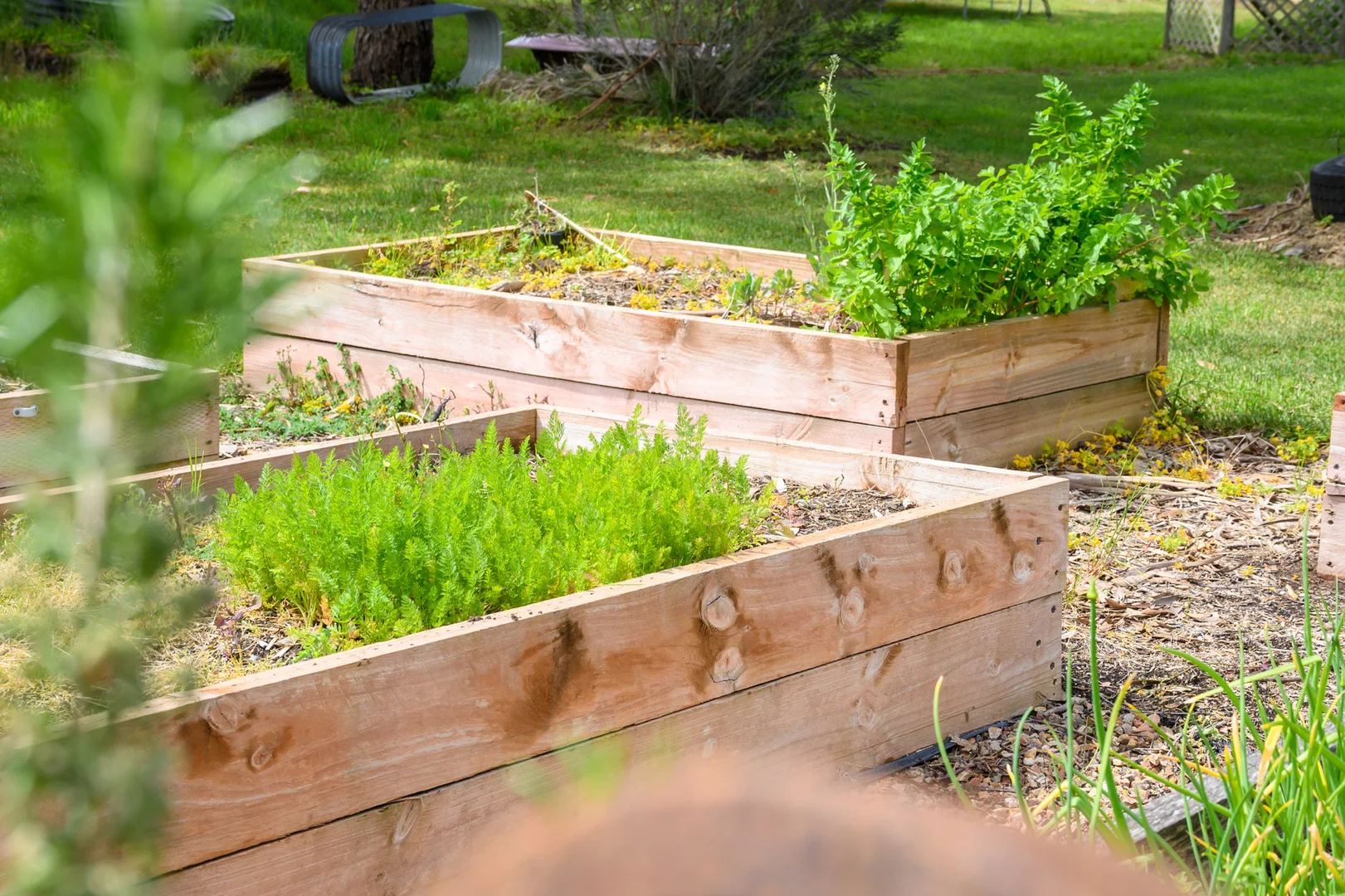 Additional image 25 of 771 Belt Road, Millicent SA 5280