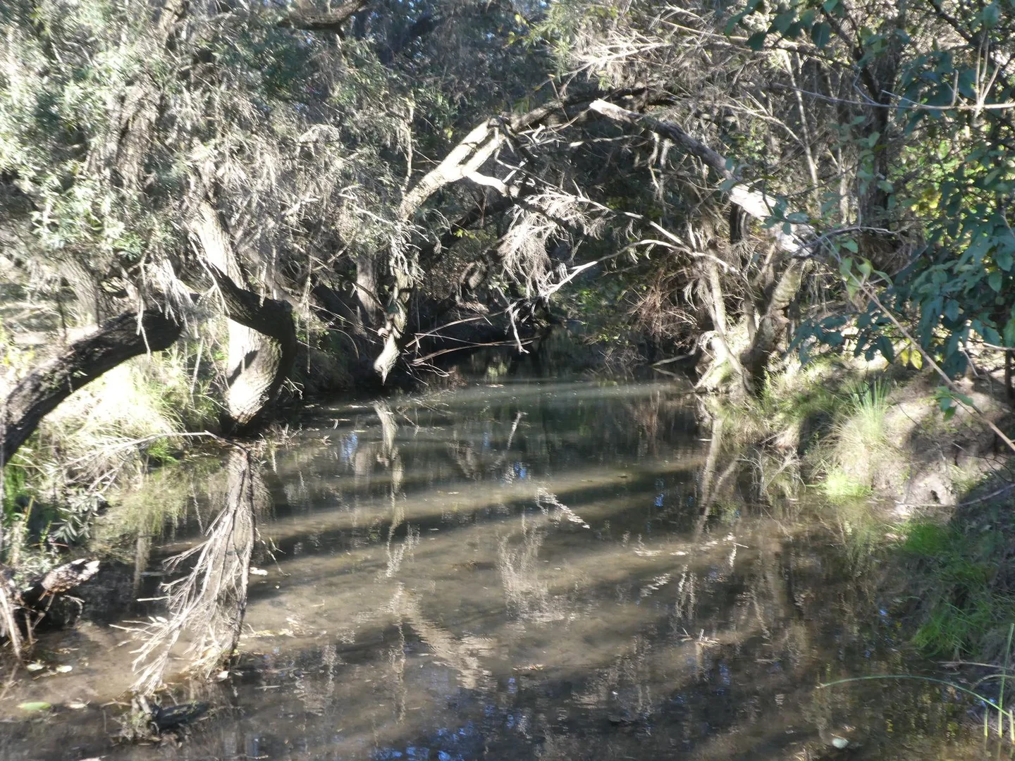 Additional image 28 of 4 Lots/NRN Monto Mount Perry Road, Mungy QLD 4671