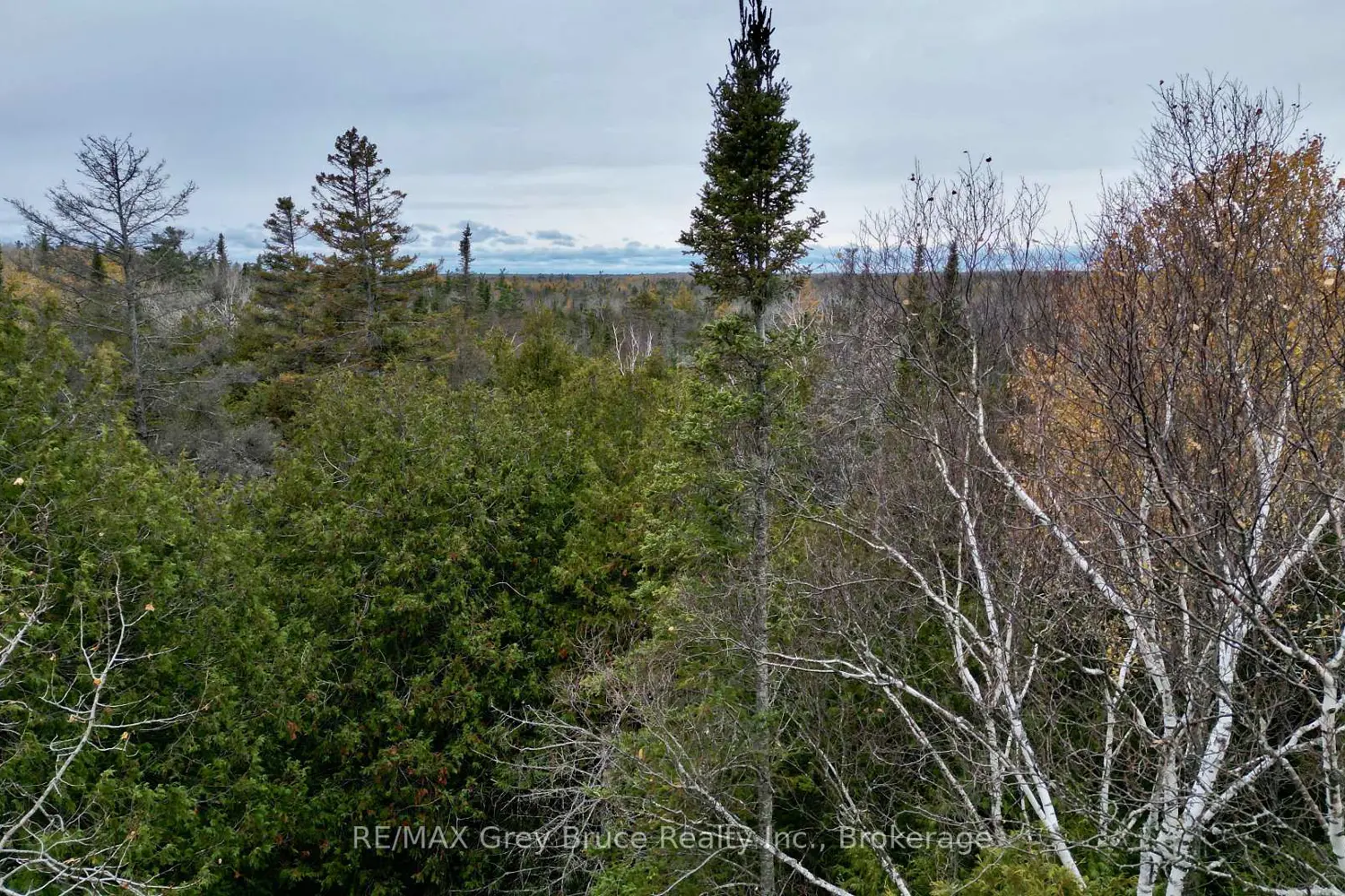 Additional image 11 of 44 Stokes Bay Road