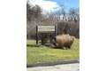 Additional image 35 of 169 Greenwoods Ln Unit 169, East Windsor, CT, 06088