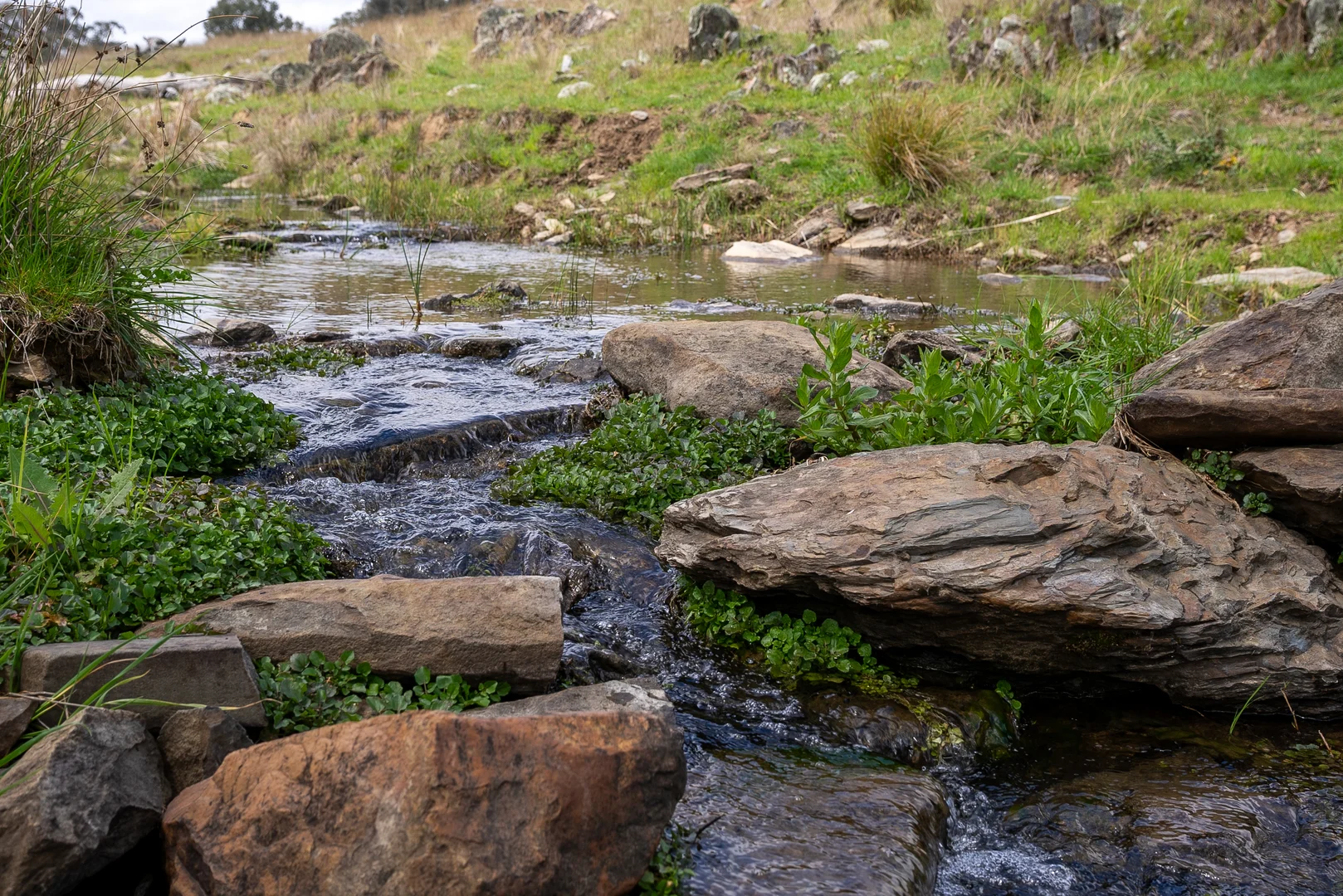 Additional image 13 of 'Cronga Peak' 157 Cronga Peak Road, Molong NSW 2866