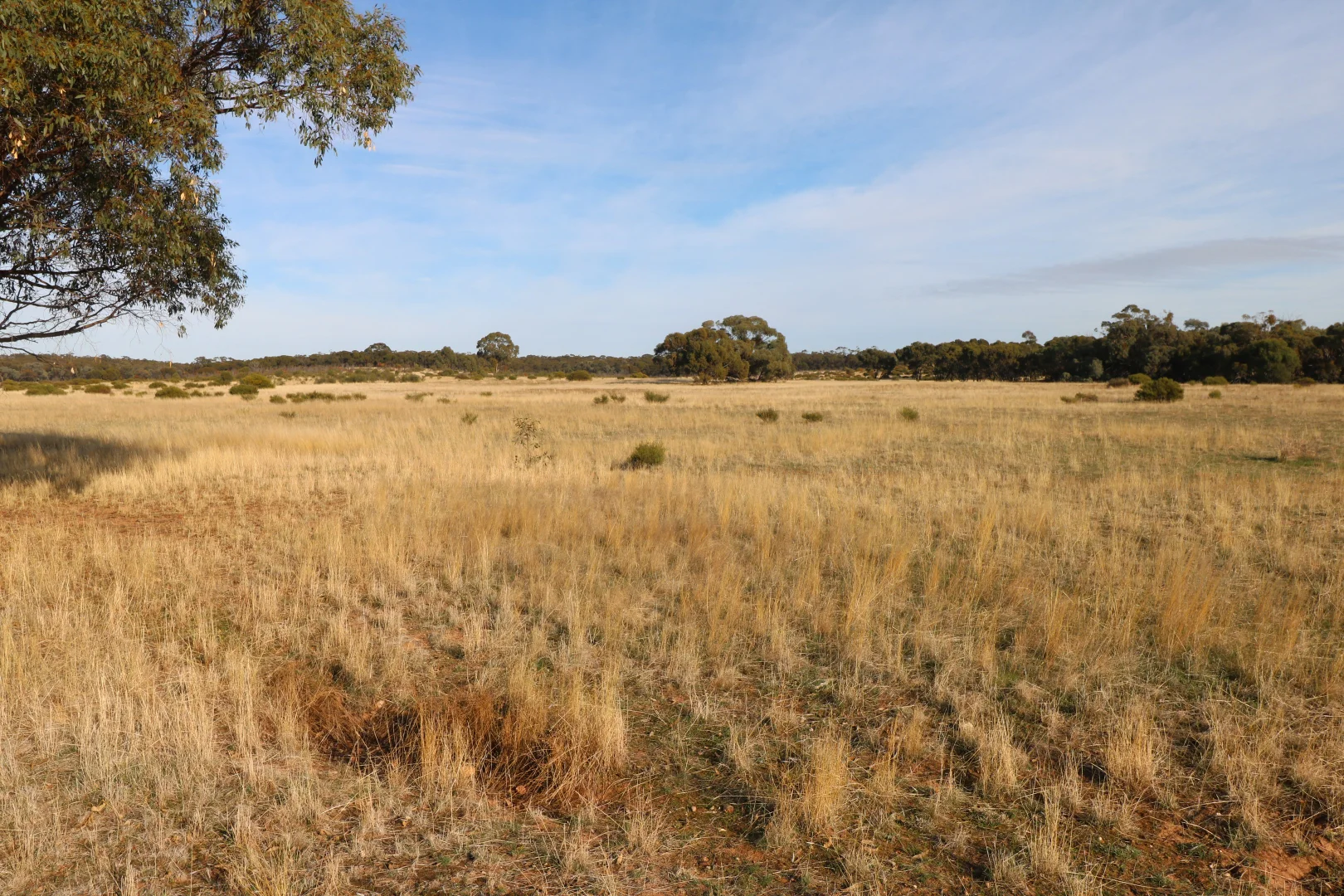 Additional image 21 of 84A Woolshed Flat Road, Wychitella VIC 3525