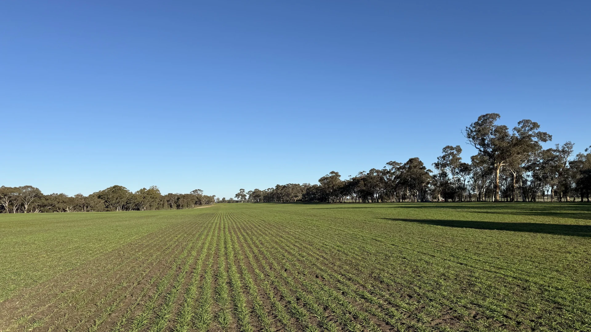 Additional image 13 of CA/75 A Watkins Road, Karnak VIC 3401