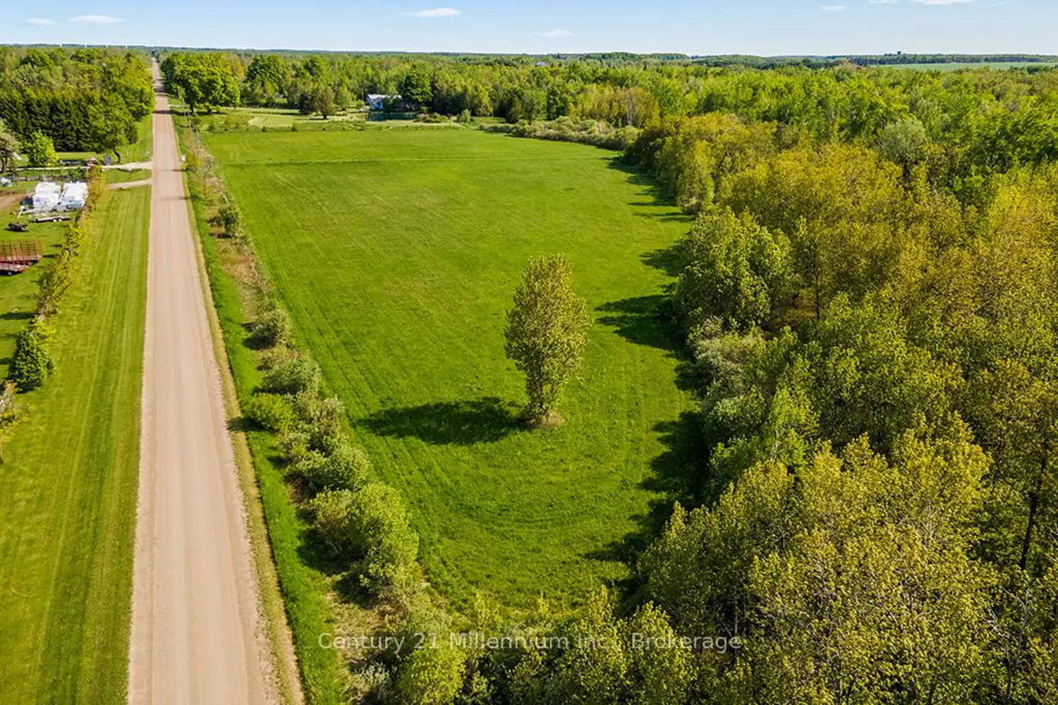 Additional image 7 of 375533 6Th Line