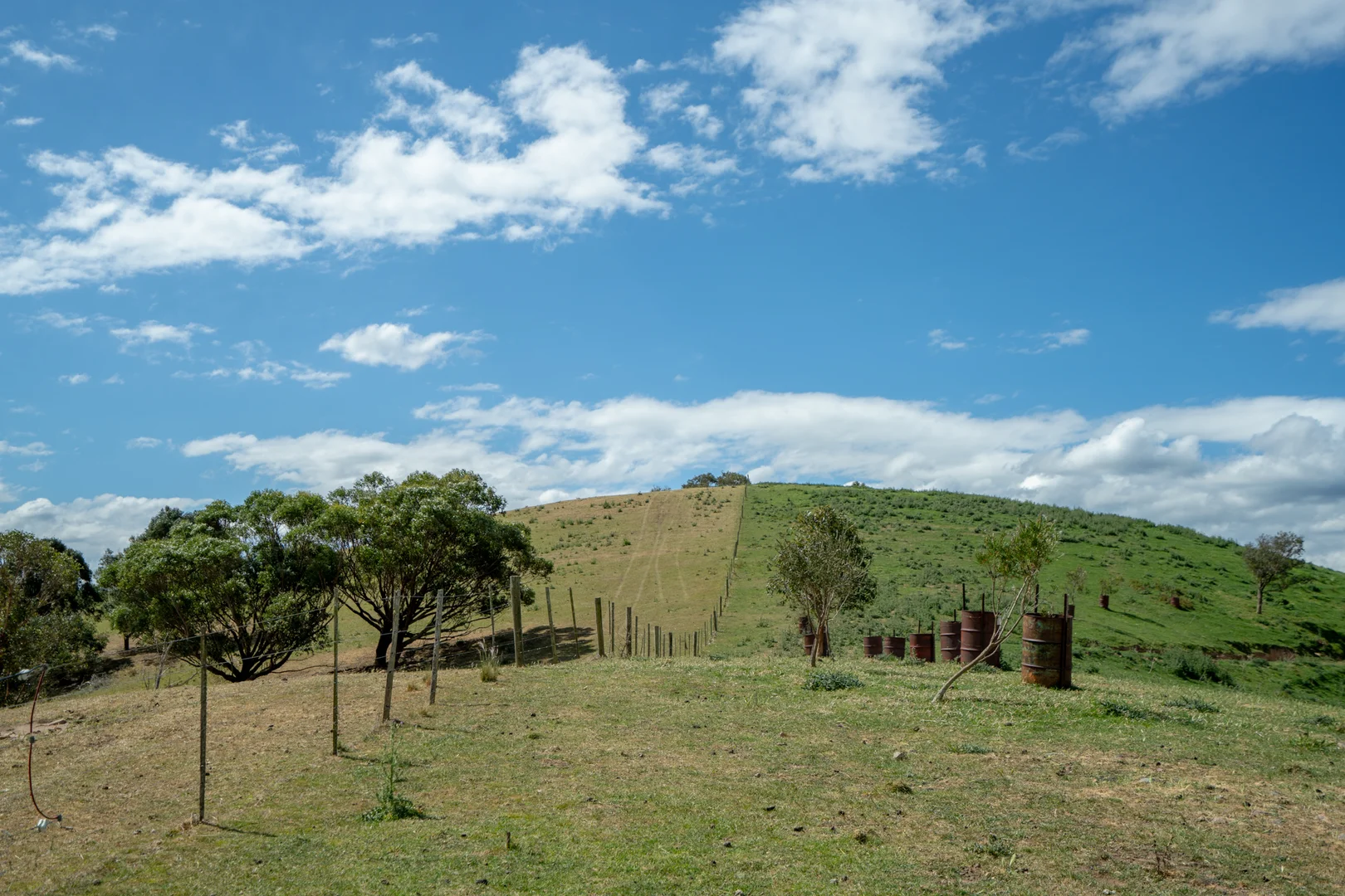 Additional image 16 of 6 Scott Road, Ensay VIC 3895