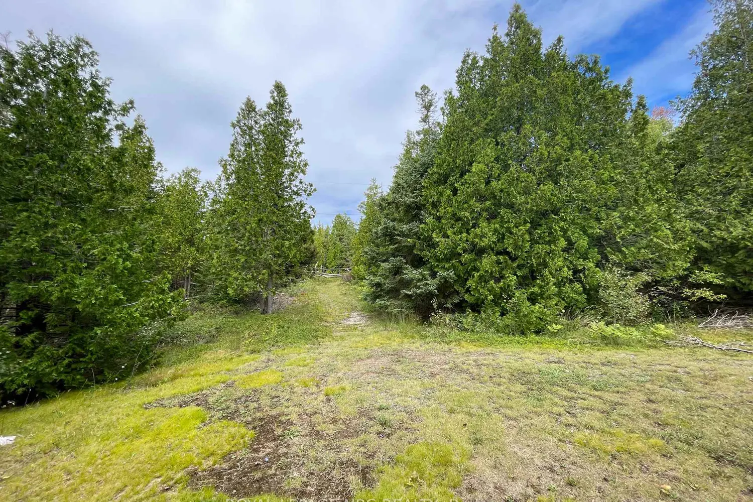 Additional image 10 of 25 Simpson Avenue